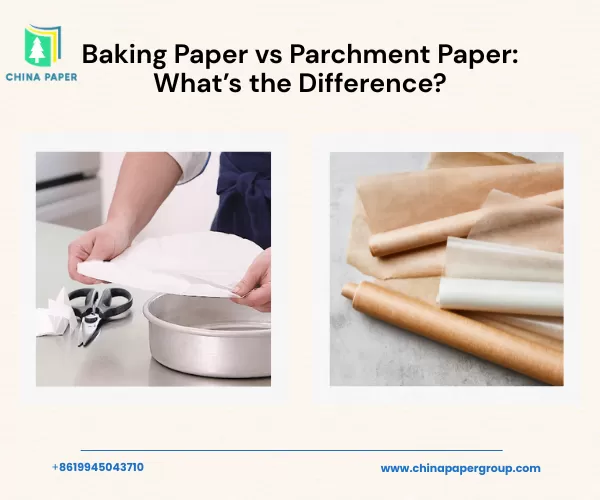 Kertas Baking vs Kertas Parchment: Apa Bedanya?