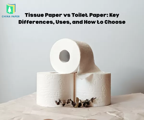 Tissue Paper vs Toilet Paper: Perbedaan Utama, Penggunaan, dan Cara Memilih