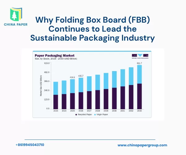 Mengapa Folding Box Board (FBB) Terus Memimpin Industri Kemasan Berkelanjutan