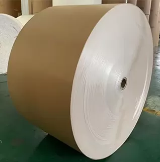 Papan Berlapis Belakang Kraft (CKB)