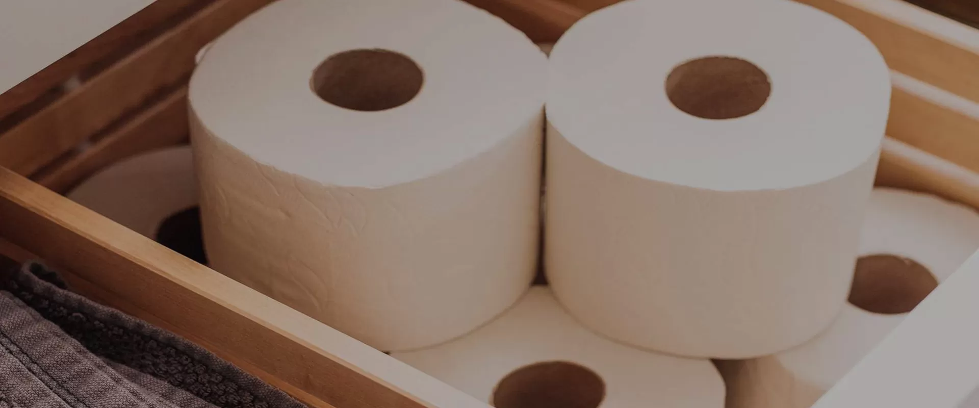 Pemasok Tisu Kertas | China Paper