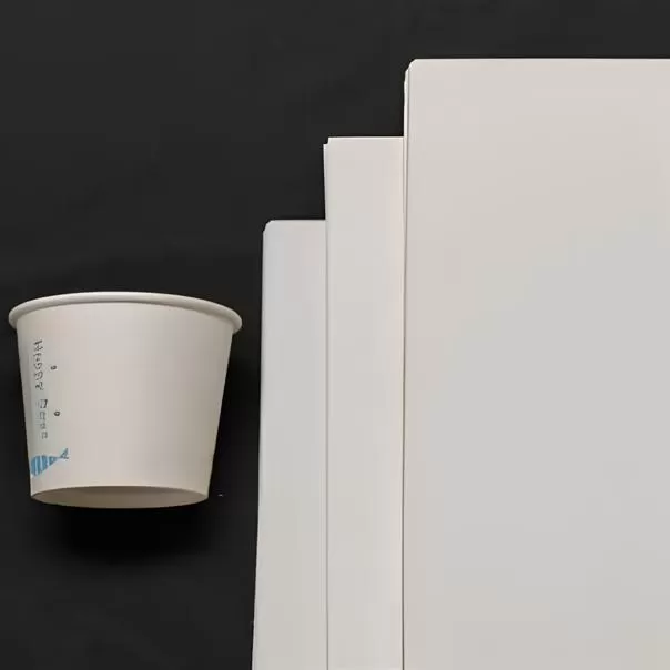 Kertas Dasar Cupstock Tanpa Lapisan